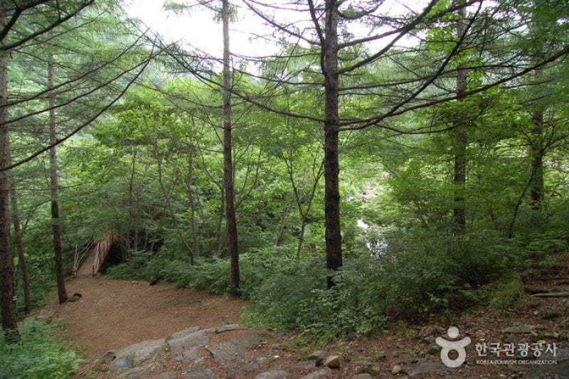 加里山自然休養林（가리산자연휴양림） (7/22)