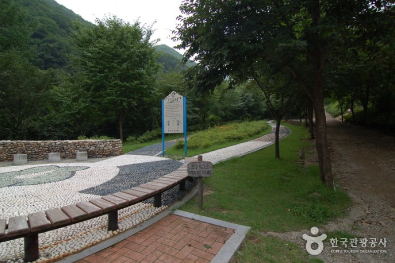 加里山自然休養林（가리산자연휴양림） (8/22)