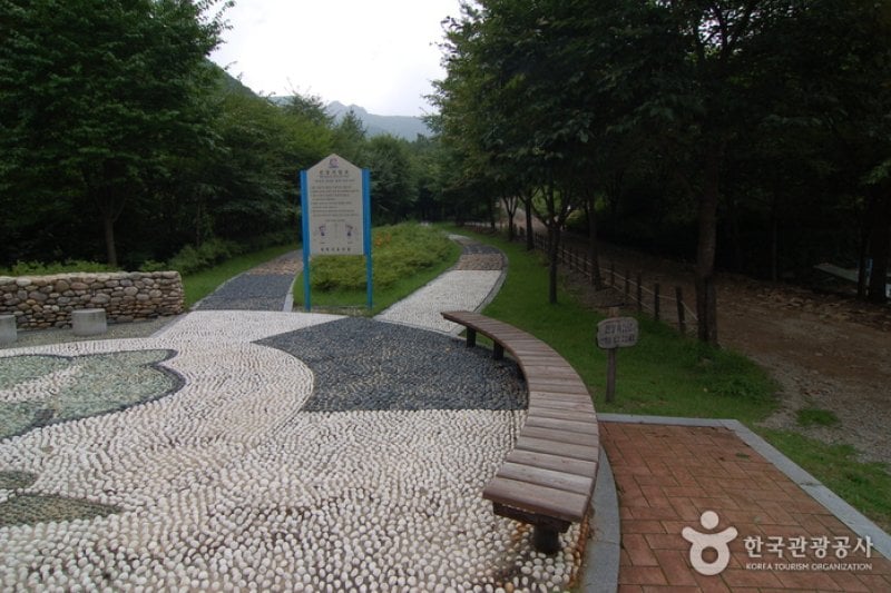加里山自然休養林（가리산자연휴양림） (9/22)