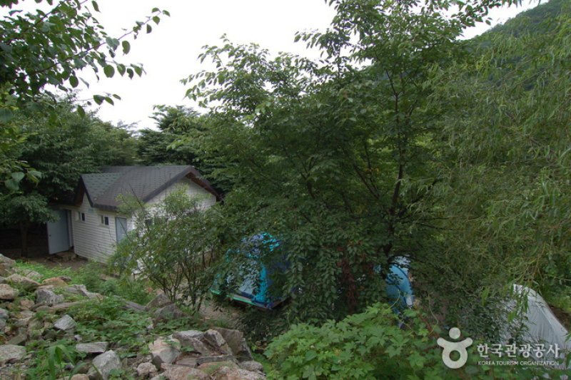加里山自然休養林（가리산자연휴양림） (13/22)