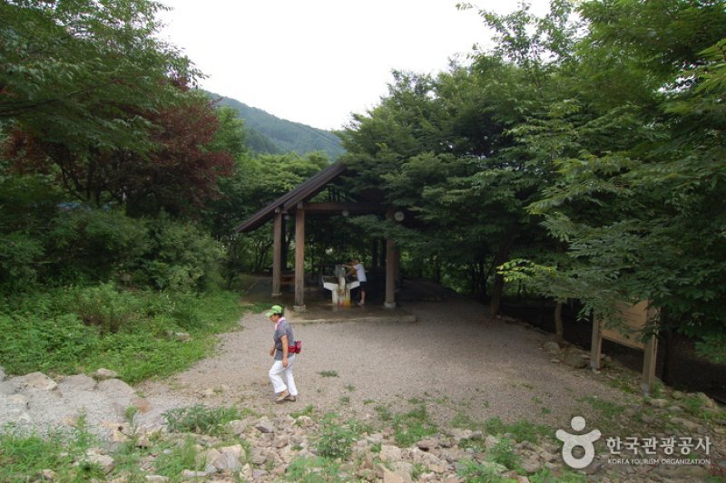 加里山自然休養林（가리산자연휴양림） (14/22)