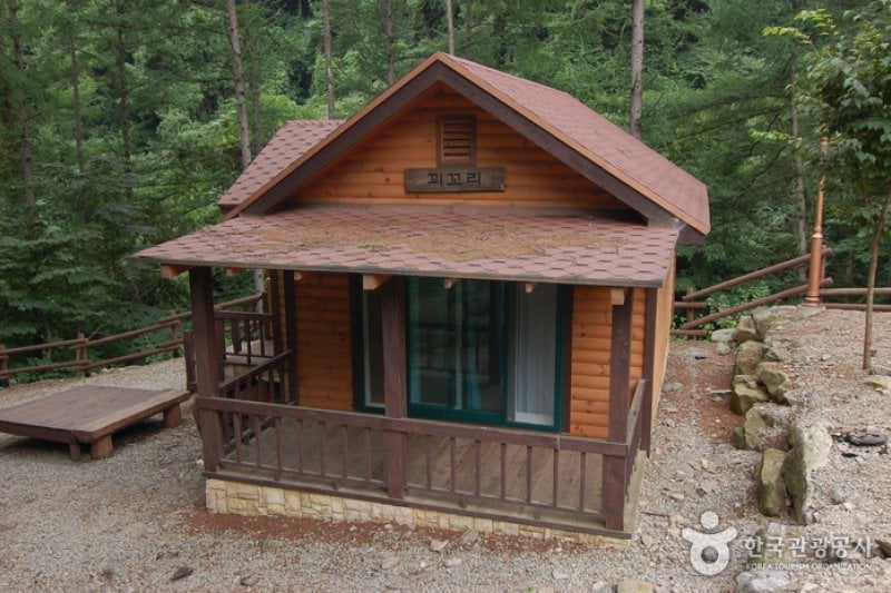 加里山自然休養林（가리산자연휴양림） (22/22)