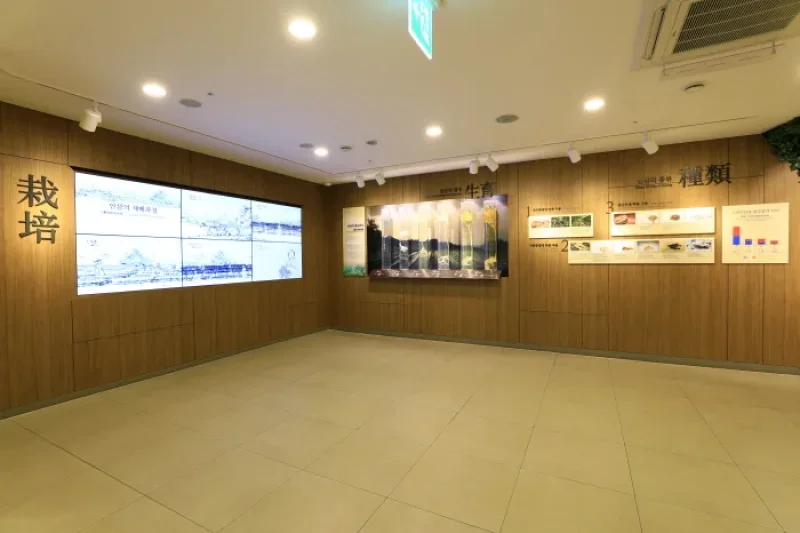 清河高麗人参[韓国観光品質認証]（청하고려인삼 [한국관광품질인증/Korea Quality] ） (13/27)