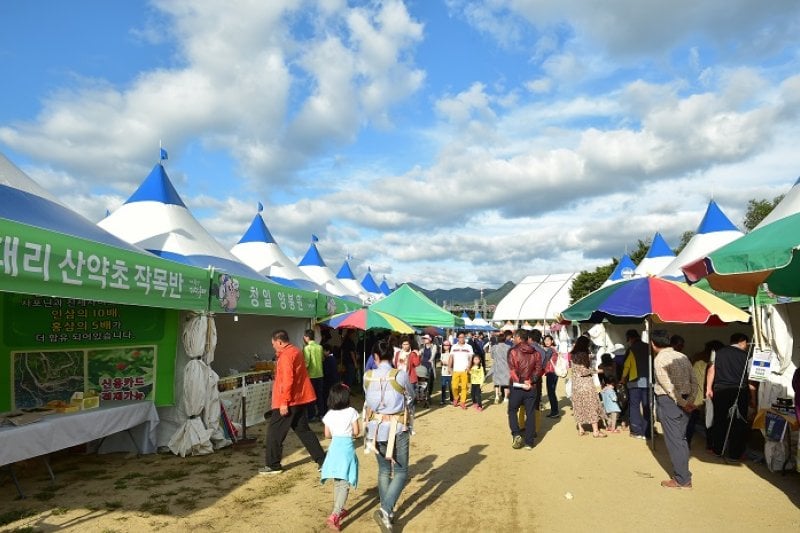横城ツルニンジン祭り（횡성더덕축제） (6/6)