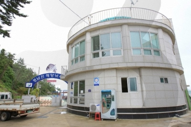正南津海洋釣り公園（정남진해양낚시공원） (1/19)