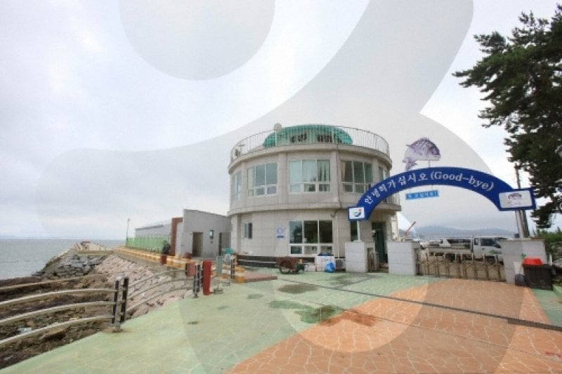 正南津海洋釣り公園（정남진해양낚시공원） (2/19)