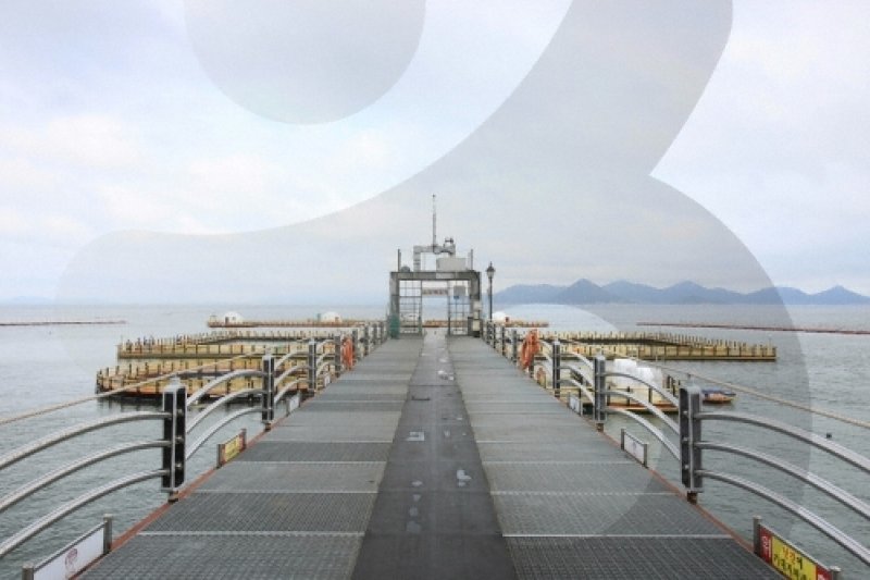 正南津海洋釣り公園（정남진해양낚시공원） (5/19)