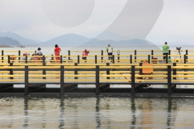正南津海洋釣り公園（정남진해양낚시공원） (10/19)