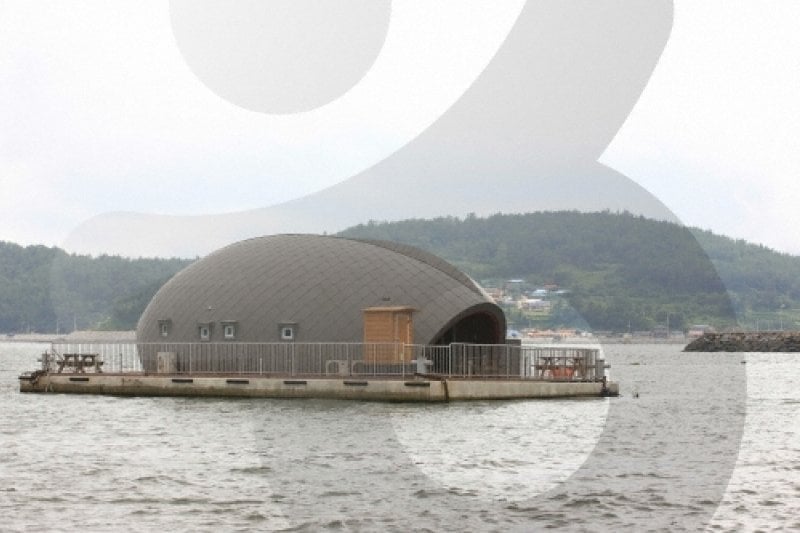 正南津海洋釣り公園（정남진해양낚시공원） (12/19)