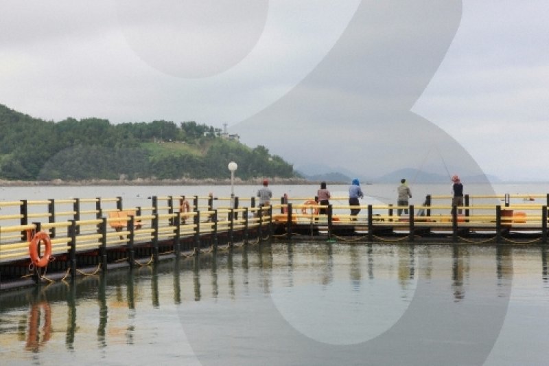 正南津海洋釣り公園（정남진해양낚시공원） (13/19)
