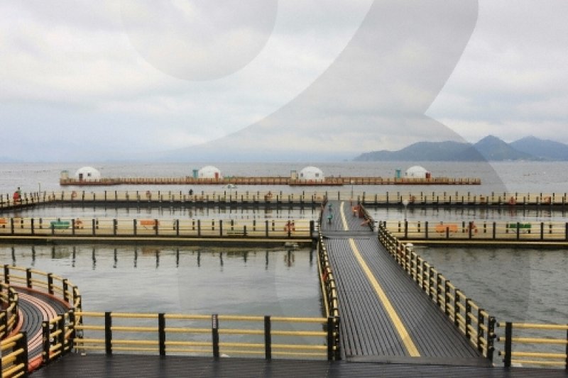 正南津海洋釣り公園（정남진해양낚시공원） (16/19)