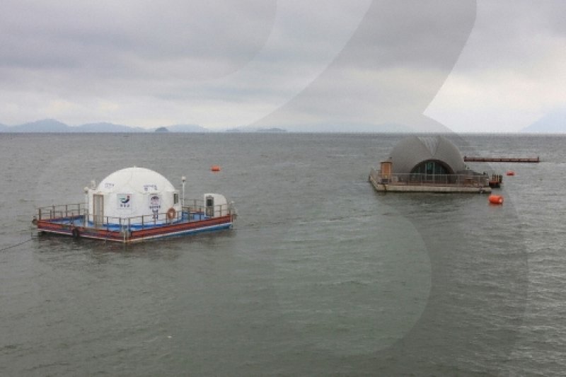 正南津海洋釣り公園（정남진해양낚시공원） (17/19)