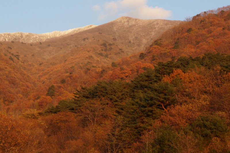 求礼 山茱萸村（구례 산수유마을） (3/11)
