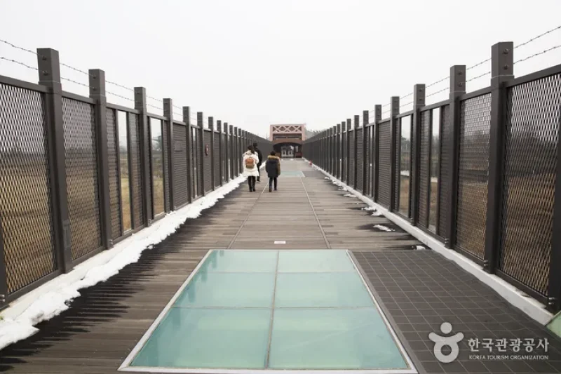 明日の奇跡の音（내일의 기적소리） (4/9)