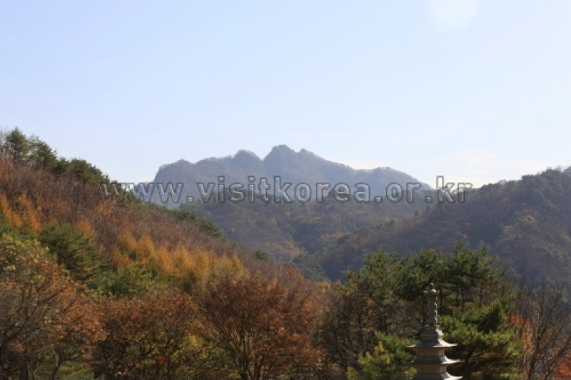 坡州 紺岳山紅葉祭り（파주 감악산 단풍맞이 축제） (1/1)
