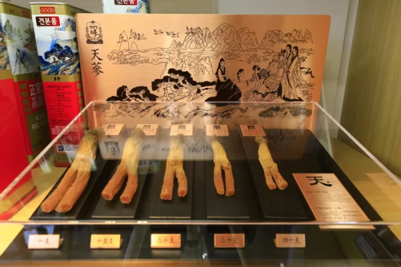 正官庄 明洞店 (17/23)