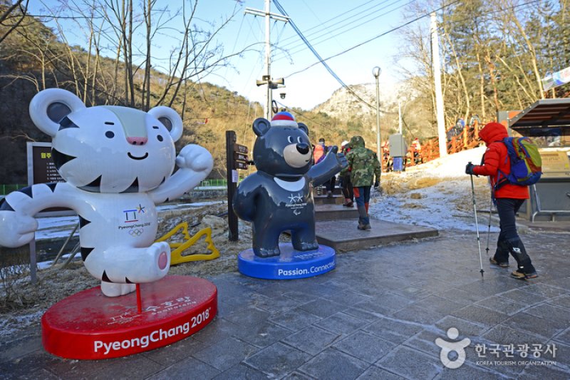 原州 小金山つり橋 (14/23)