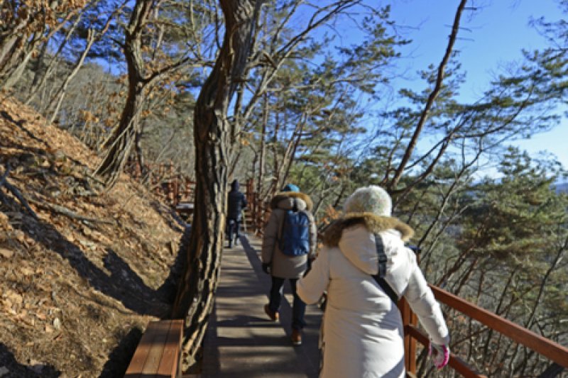 原州 小金山つり橋 (16/23)