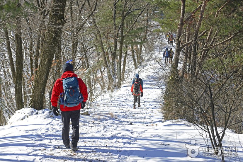 原州 小金山つり橋 (21/23)