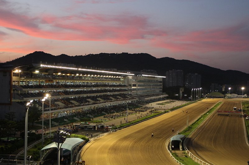 競馬公園への夜のお出かけ (4/5)