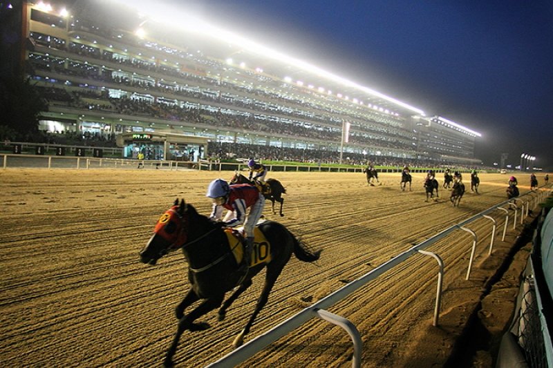 競馬公園への夜のお出かけ (5/5)