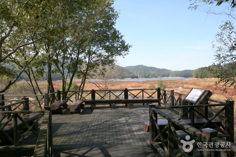 光州湖 湖生態園（광주호 호수생태원） (17/20)
