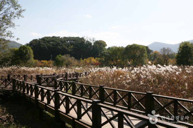 光州湖 湖生態園（광주호 호수생태원） (18/20)