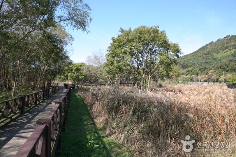 光州湖 湖生態園（광주호 호수생태원） (19/20)