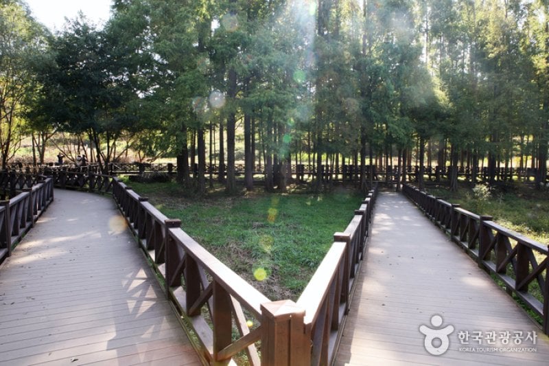 光州湖 湖生態園（광주호 호수생태원） (20/20)