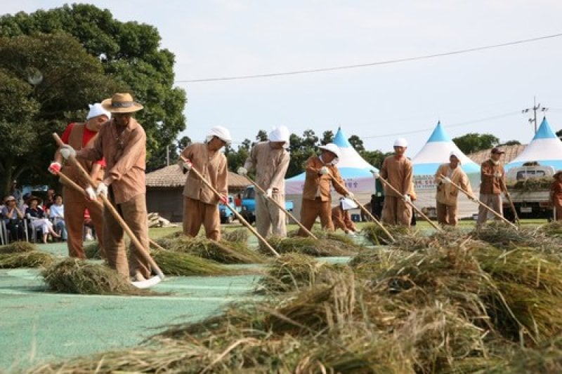 済州城邑村伝統民俗再現祭り (6/7)