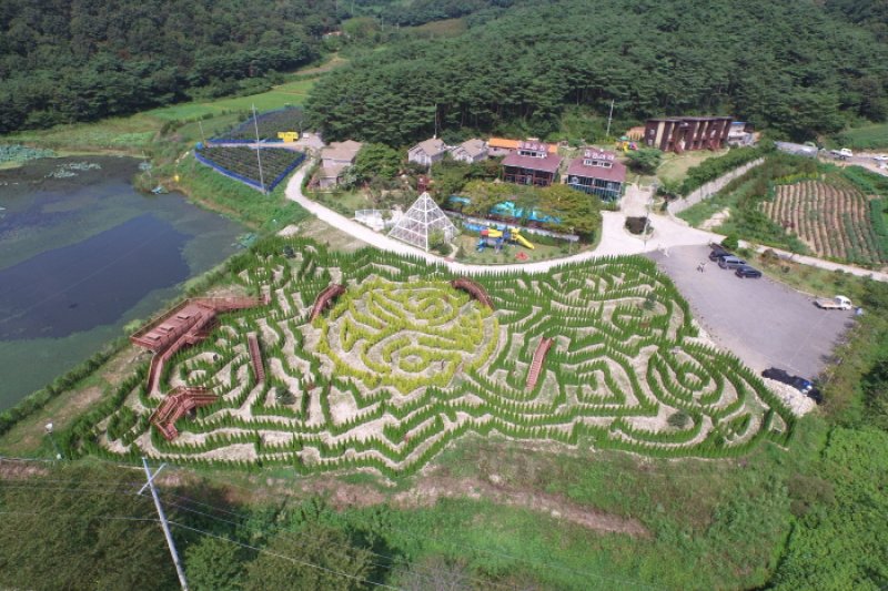 風の下観光農園[韓国観光品質認証]（바람아래관광농원[한국관광품질인증/ Korea Quality]） (4/31)
