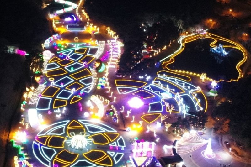 蔚山大公園バラ園光祭り (8/8)