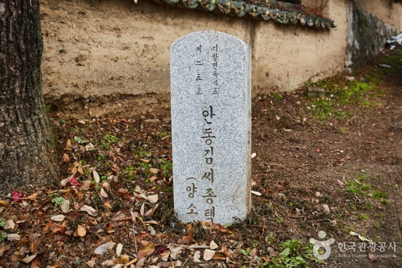 安東金氏宗宅 養素堂[韓国観光品質認証]（안동김씨종택 양소당[한국관광품질인증제/ Korea Quality]） (8/13)