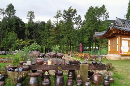 へマルヒーリングの森[韓国観光品質認証]（해마루 힐링숲 [한국관광품질인증/Korea Quality]）