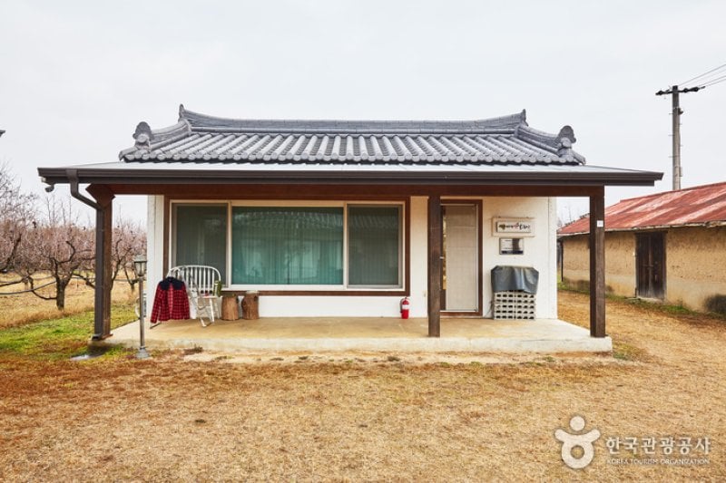 パラムヘッサル農場[韓国観光品質認証]（바람햇살농장[한국관광품질인증/Korea Quality]） (10/17)