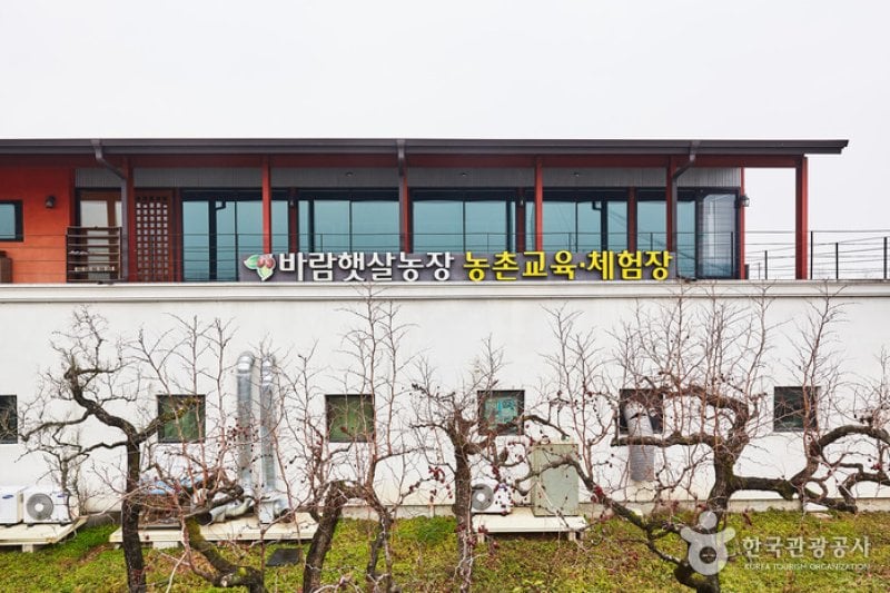 パラムヘッサル農場[韓国観光品質認証]（바람햇살농장[한국관광품질인증/Korea Quality]） (15/17)