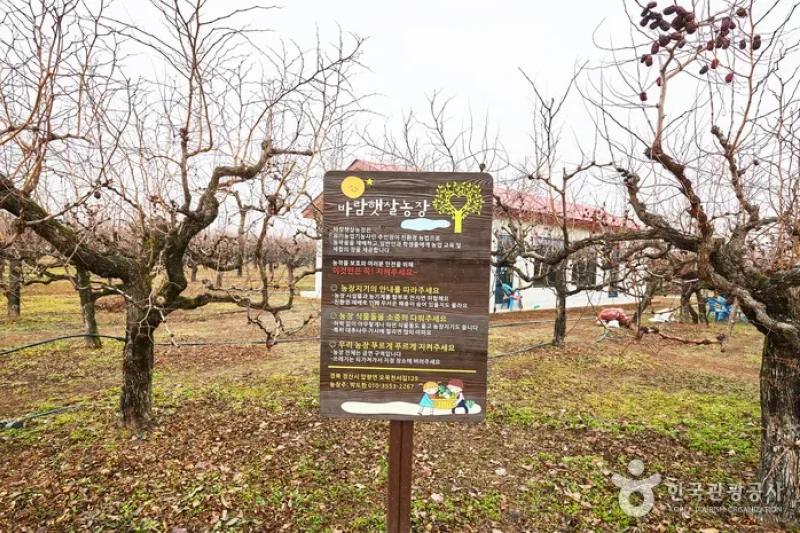 パラムヘッサル農場[韓国観光品質認証]（바람햇살농장[한국관광품질인증/Korea Quality]） (17/17)