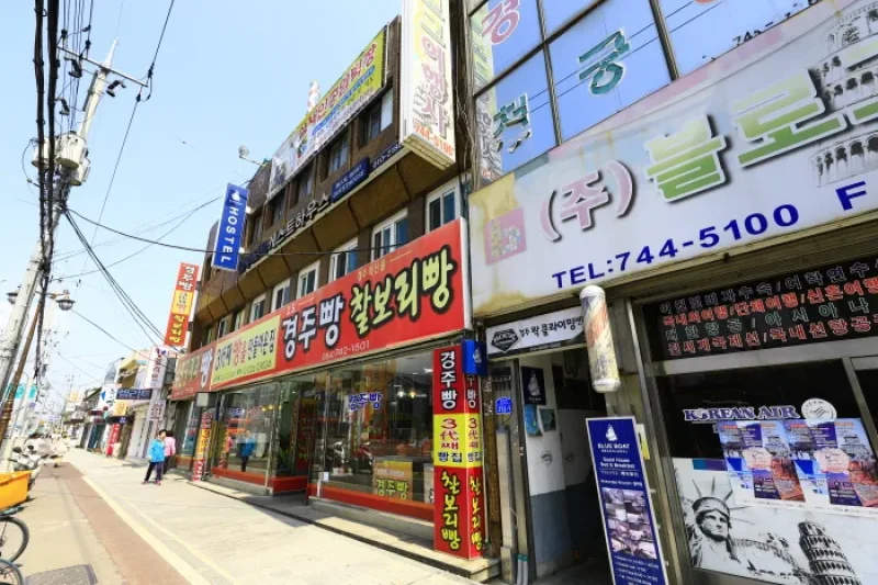 ブルーボートゲストハウス慶州店[韓国観光品質認証]（블루보트게스트하우스 경주점[한국관광품질인증/Korea Quality]） (1/13)