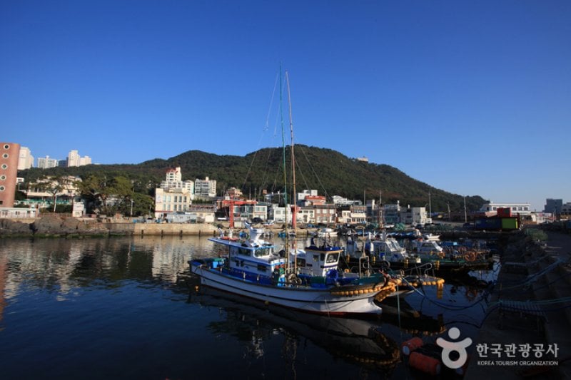 青沙浦（청사포） (4/25)