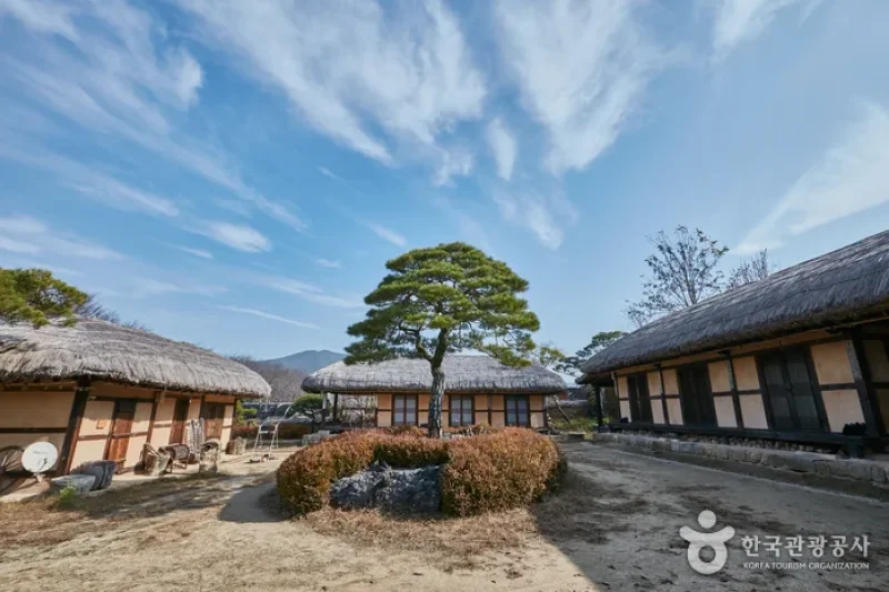 楽古斎 安東（河回）[韓国観光品質認証]（락고재 안동(하회)[한국관광품질인증제/ Korea Quality]） (11/14)