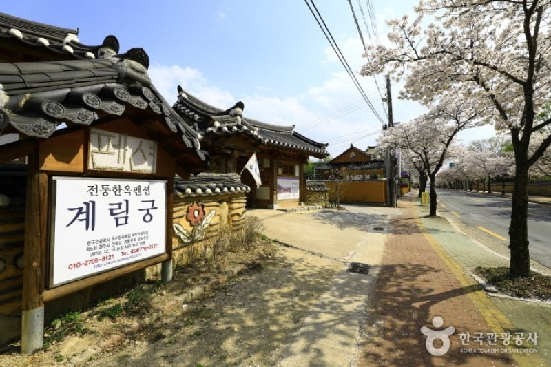 鶏林宮[韓国観光品質認証]（계림궁[한국관광품질인증/Korea Quality]） (1/16)