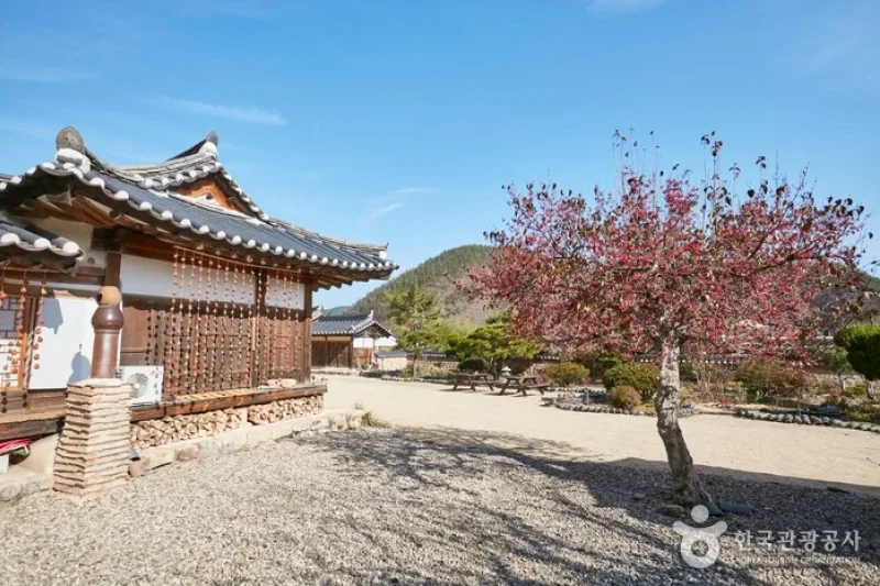松庭古宅[韓国観光品質認証]（송정고택[한국관광품질인증/Korea Quality]） (9/16)