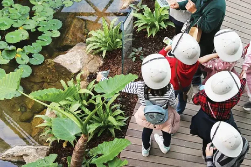 ソウル植物園（서울식물원） (4/6)