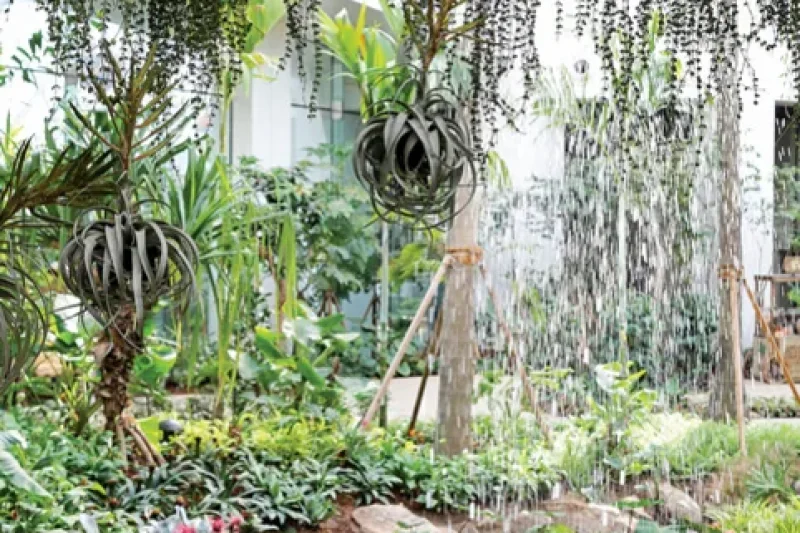 ソウル植物園（서울식물원） (5/6)