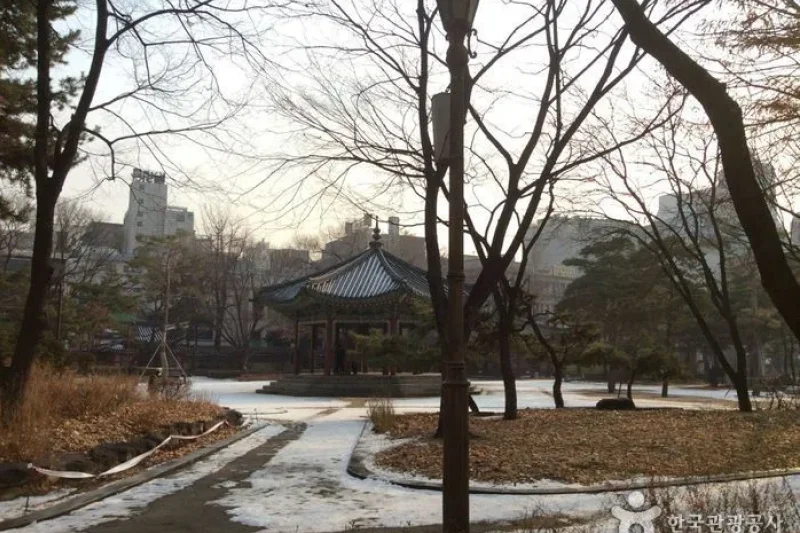 タプコル公園 八角亭（탑골공원 팔각정） (6/13)