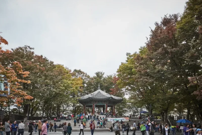 タプコル公園 八角亭（탑골공원 팔각정） (10/13)