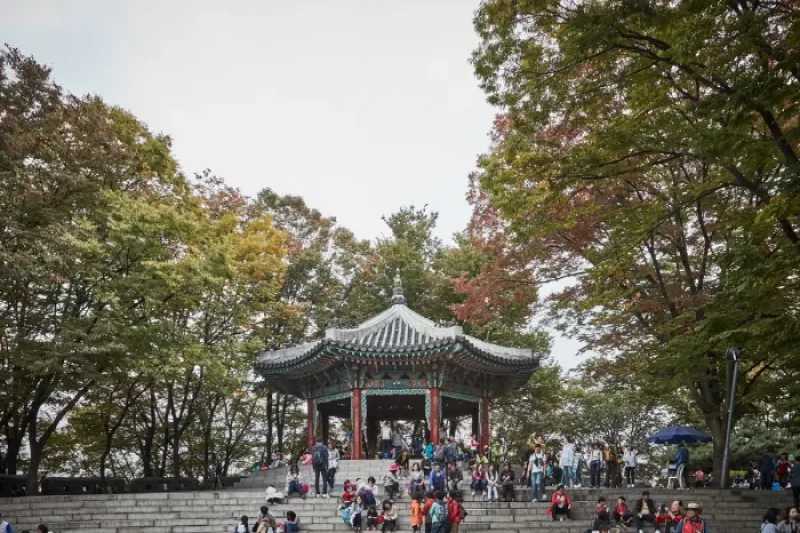 タプコル公園 八角亭（탑골공원 팔각정） (13/13)