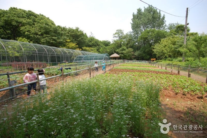 冠岳山公園 野外植物園（관악산공원 야외식물원） (1/5)