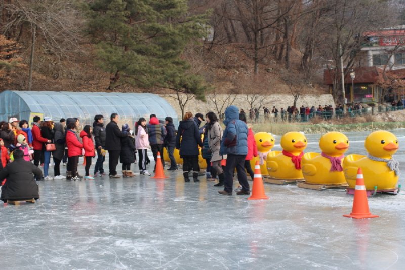抱川 山井湖ソリ祭り（포천산정호수 썰매축제） (5/6)
