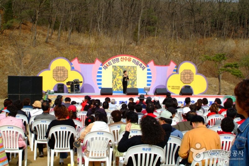 楊平 山茱萸村（양평 산수유마을） (4/8)